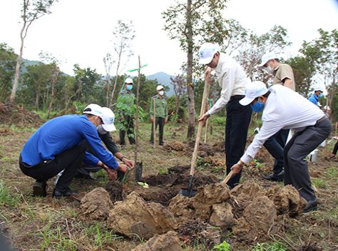 Ông Đinh Văn Thiệu trồng cây tại lễ phát động Ông Đinh Văn Thiệu trồng cây tại lễ phát động